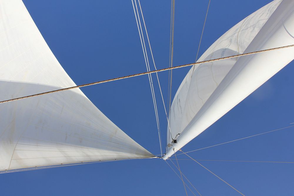 Laser class sailboat. Free public domain CC0 photo.