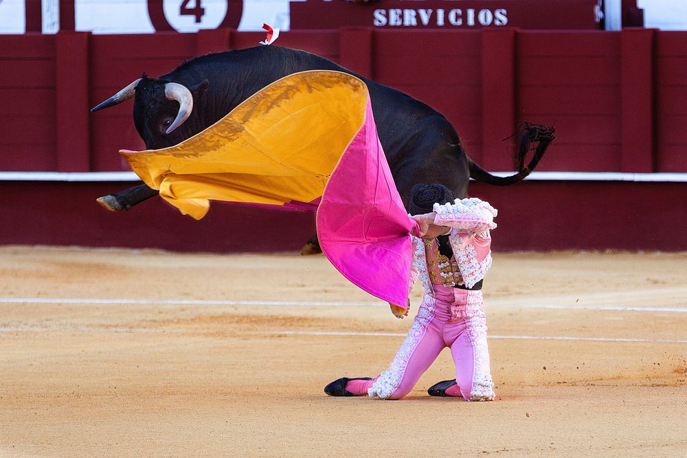Free bullfighter image, public domain CC0 photo.