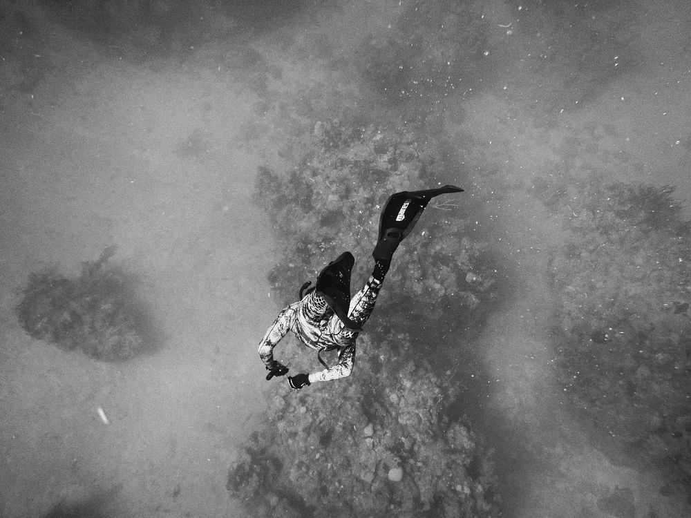 Free person diving public domain CC0 photo.