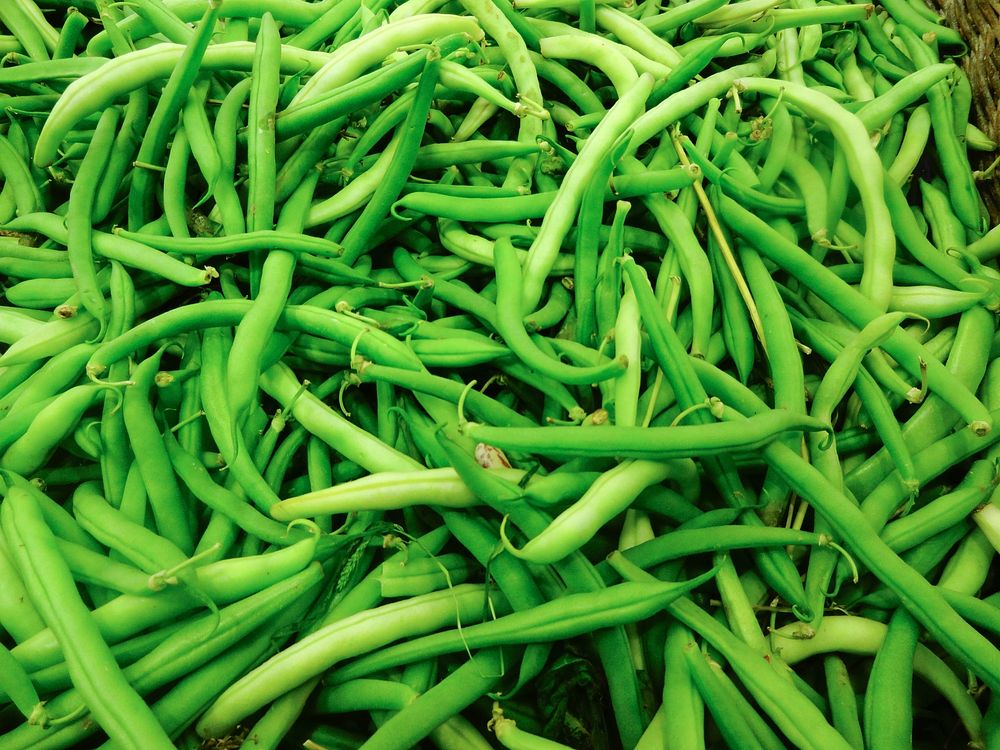Asparagus beans. Free public domain CC0 image