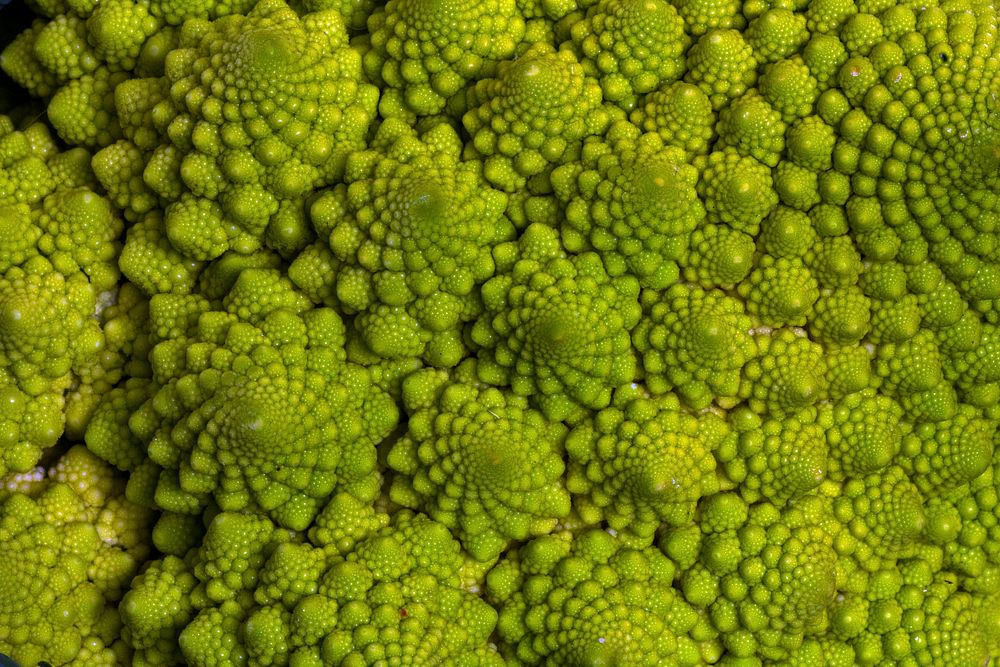 Macro view of vegetable. Free public domain CC0 photo