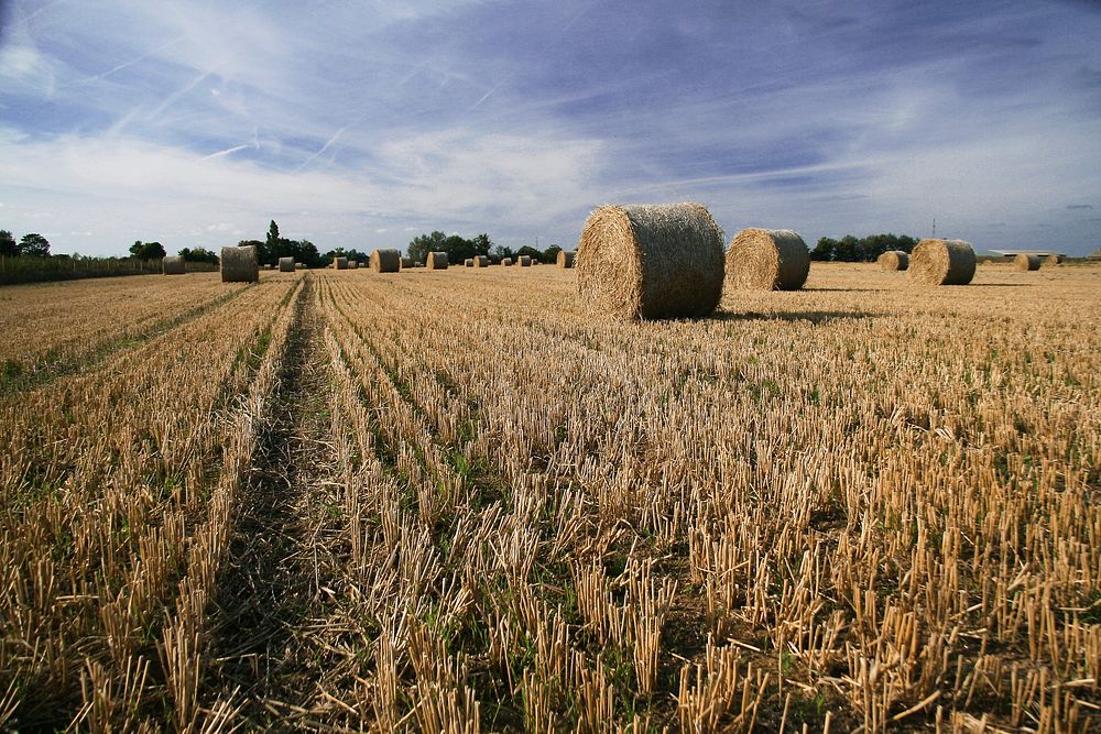 Free bales of hay image, public domain agriculture CC0 photo.
