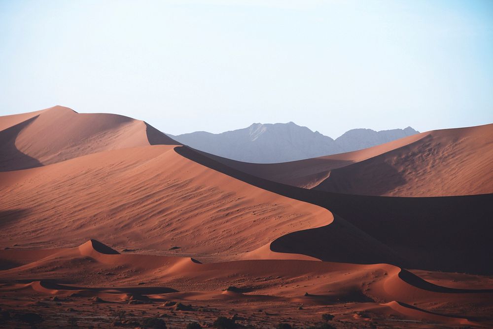 Free sand dunes, desert image, public domain landscape CC0 photo.