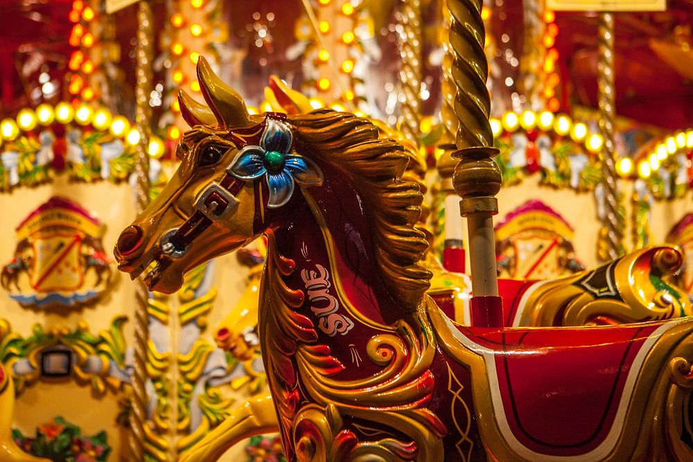 Free carousel horse image, public domain amusement park CC0 photo.