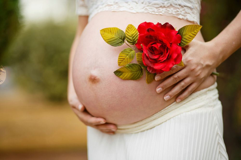 Free pregnant woman and rose image, public domain love CC0 photo.