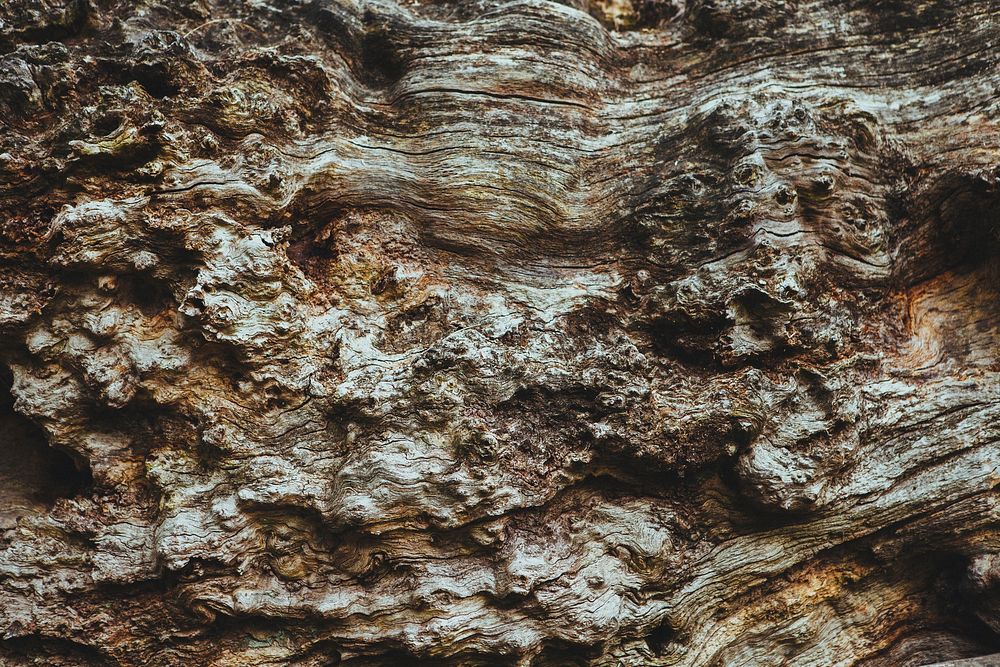 Free textured stone rock photo, public domain CC0 image.