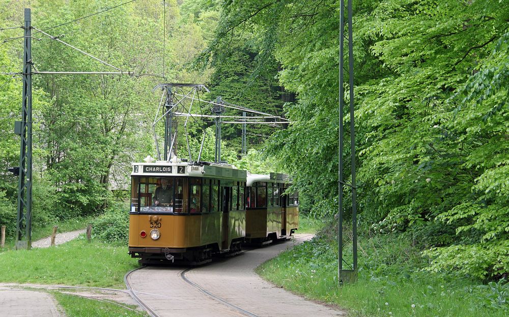 Vintage tram through forest, The Netherlands - 24 February 2015