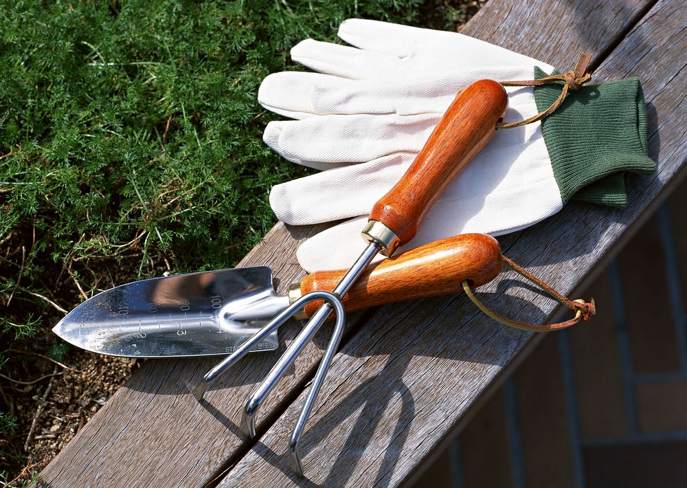 Free garden tools on wood public domain CC0 photo.