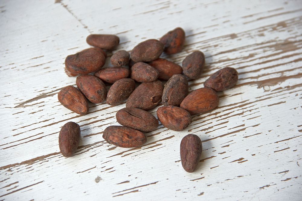 Free cocoa beans photo, public domain plant CC0 image.
