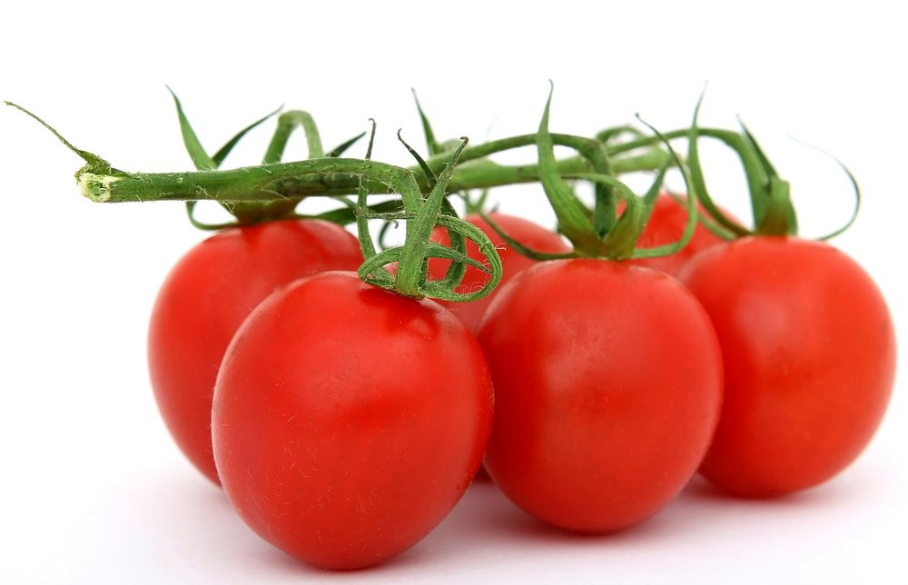 Free closeup image of cherry tomatoes on stem, public domain CC0 photo.