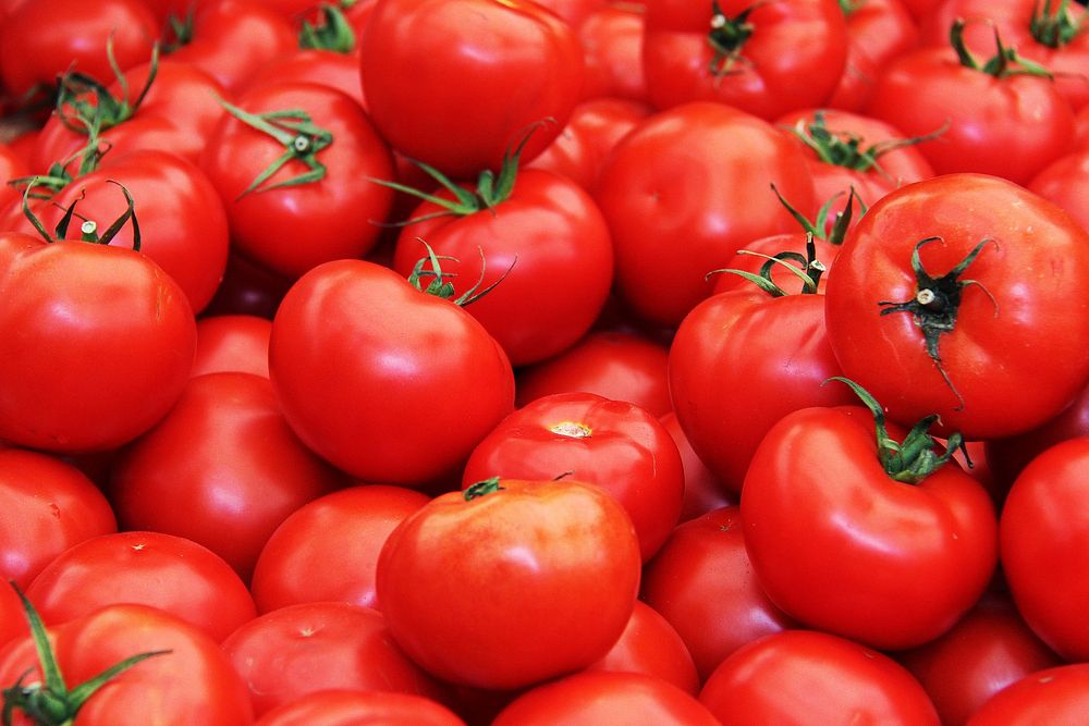 Free red tomatoes close up photo, public domain vegetables CC0 image.