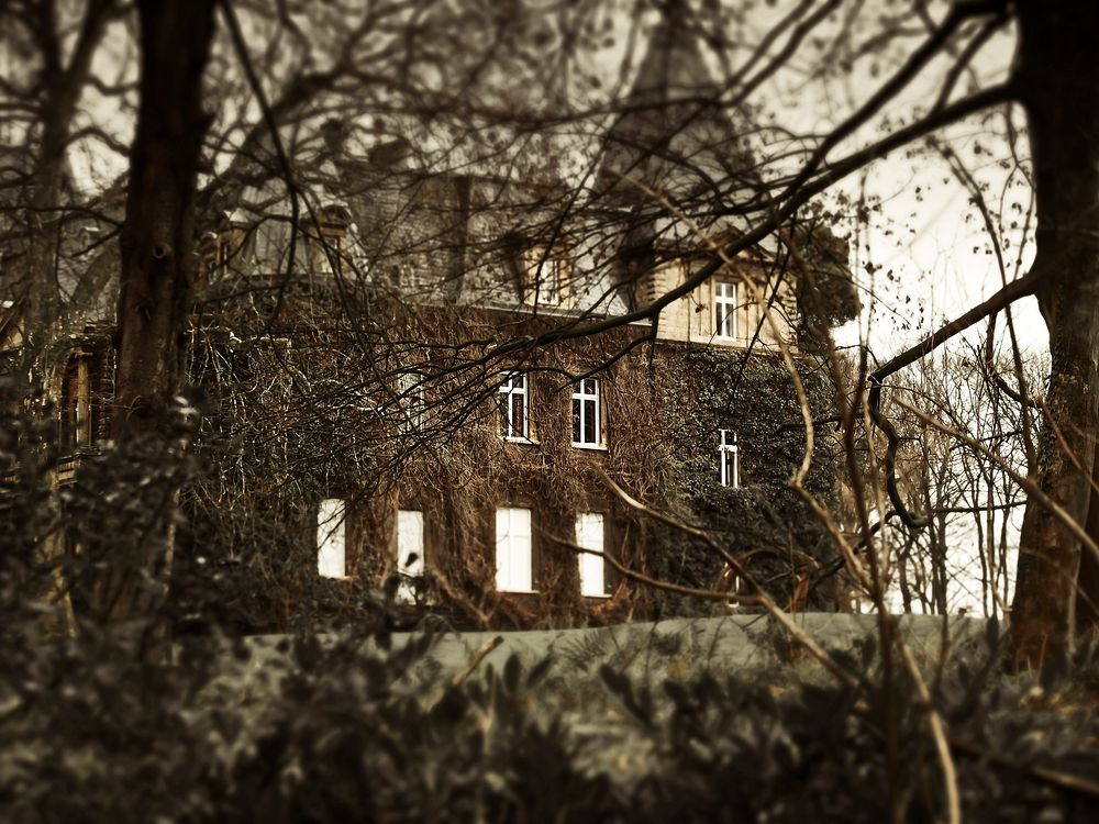 Free mansion in forest photo, public domain nature CC0 image.