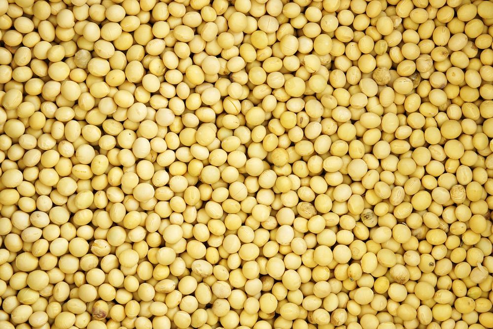 Free top view of soybean pile photo, public domain CC0 image.