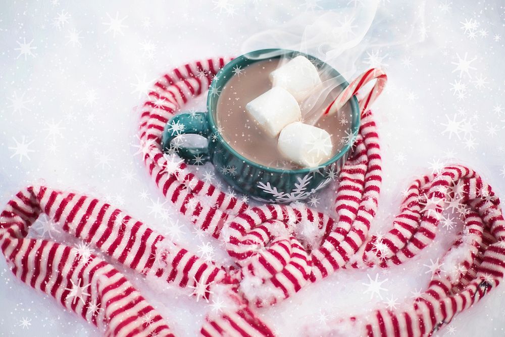Free Christmas hot chocolate image, public domain CC0 photo.