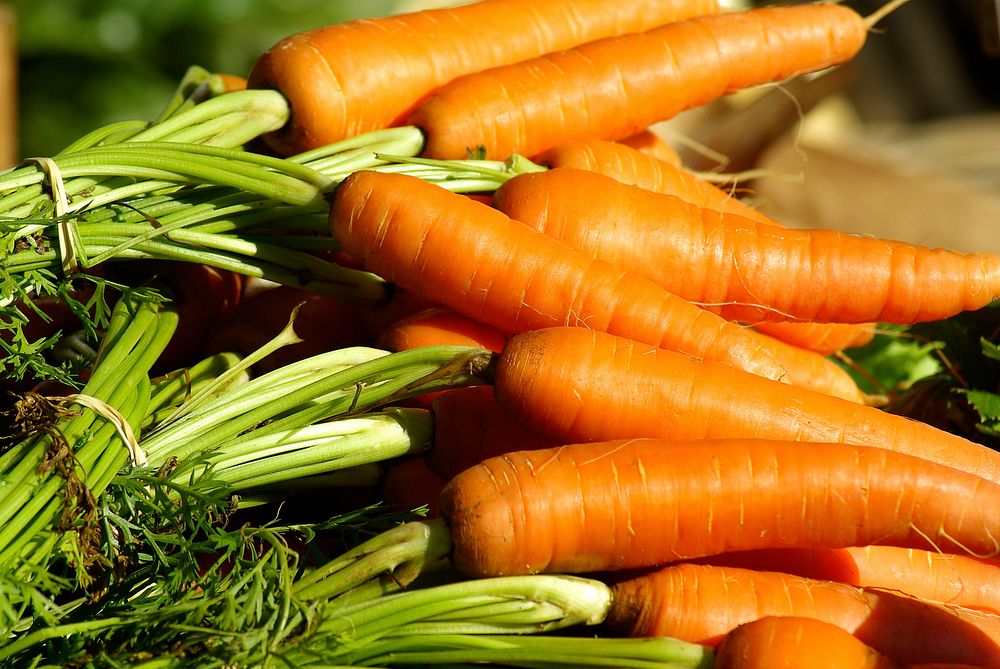 Free carrots image, public domain food CC0 photo.