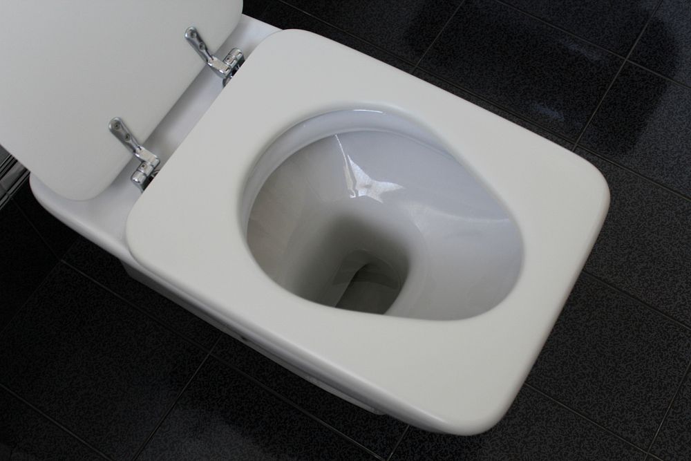 Toilet bowl, bathroom  photo, free public domain CC0 image.