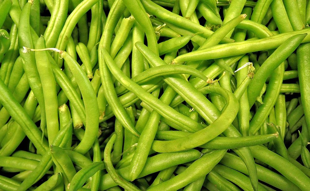 Free green bean pile image, public domain CC0 photo.