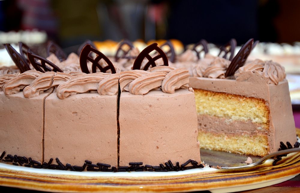 Free cake with chocolate whipped cream photo, public domain food CC0 image.