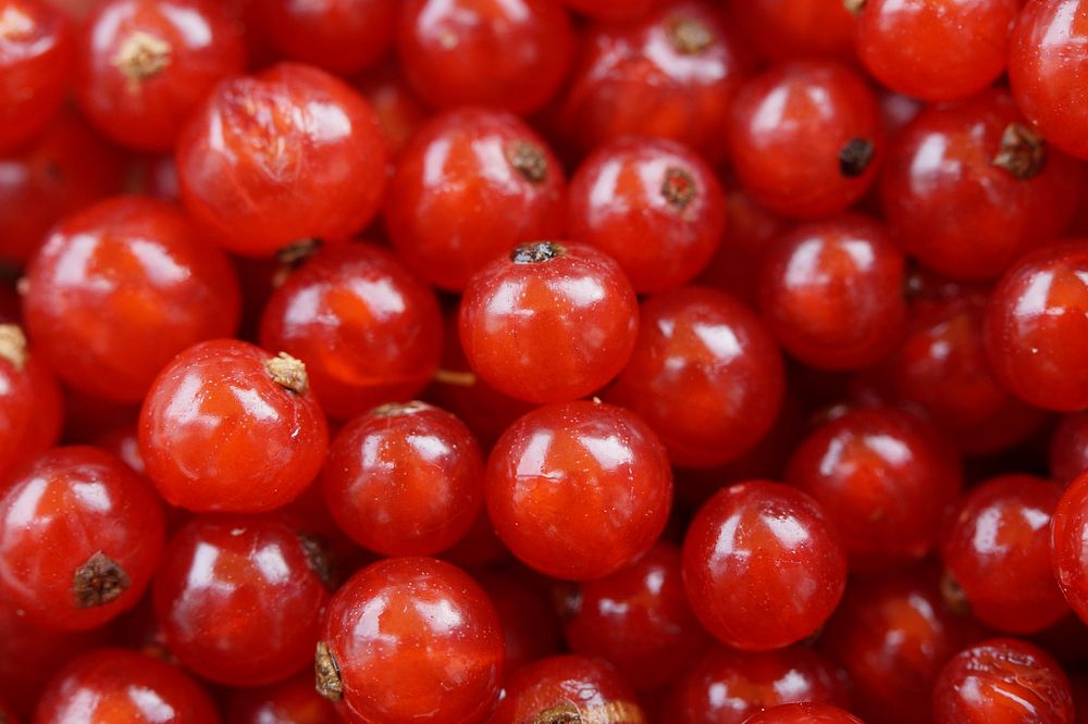 Free photo of a pile of red currants, public domain CC0 photo.