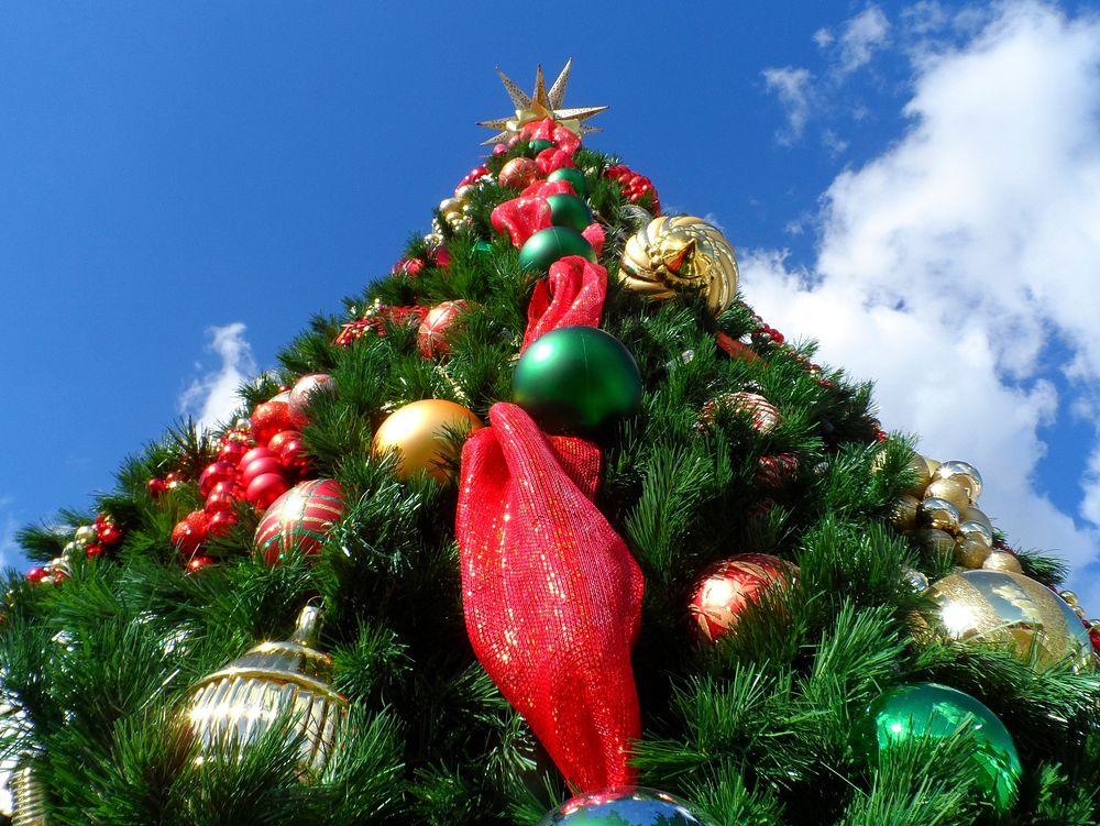 Free Christmas tree image, public domain celebration CC0 photo.