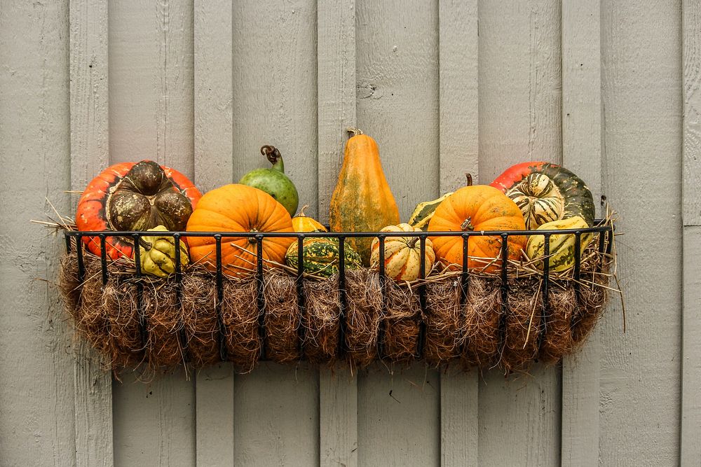 Free colorful pumpkin decoration image, public domain food CC0 photo.