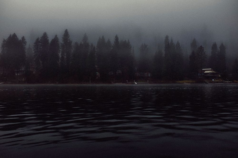Foggy, misty, hazy nature photo, free public domain CC0 image.
