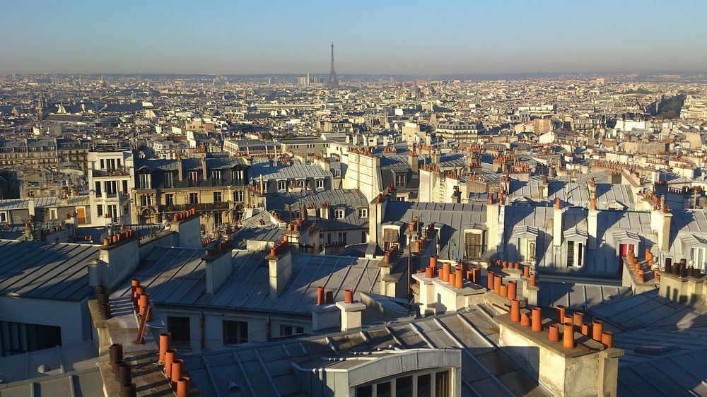 Free city buildings overview over Paris photo, public domain cityscape CC0 image.