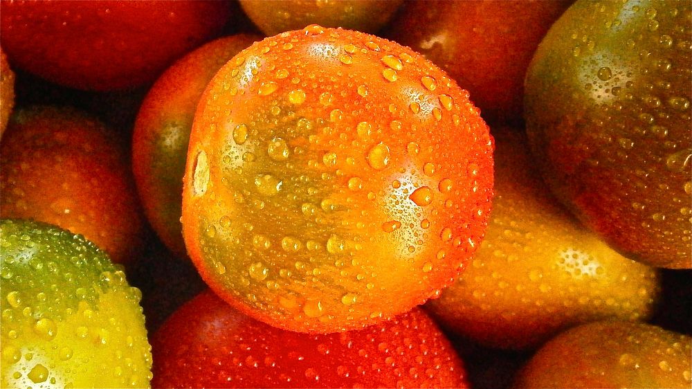 Free tomato close up with water drops background photo, public domain vegetables CC0 image.