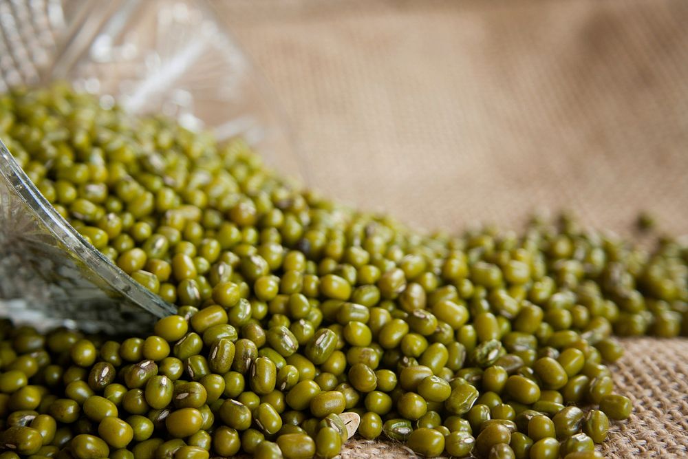 Free closeup on green mung bean photo, public domain CC0 image.