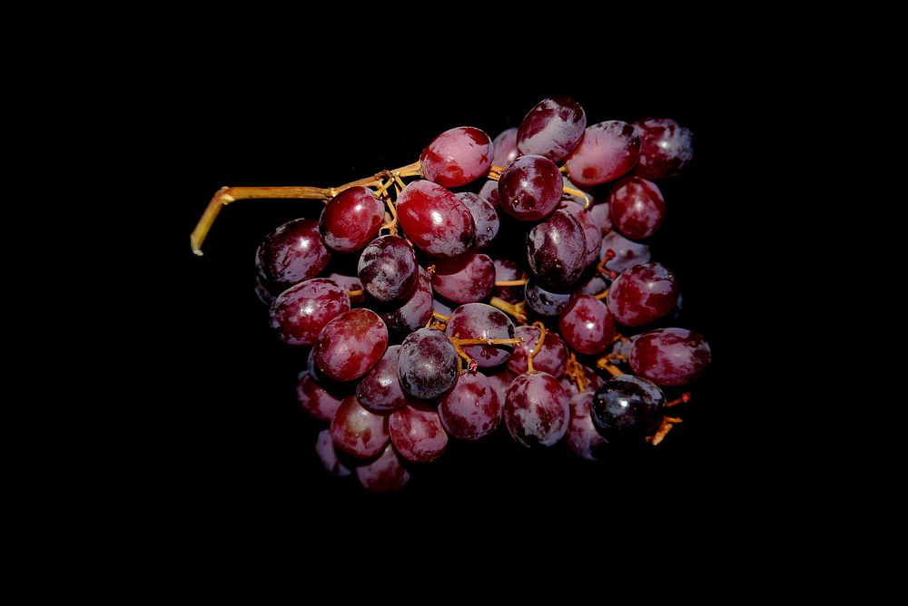 Free fresh branch of grape in dark background, public domain fruit CC0 photo.