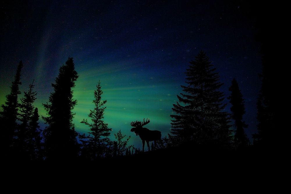 Free aurora borealis image, public domain night CC0 photo.