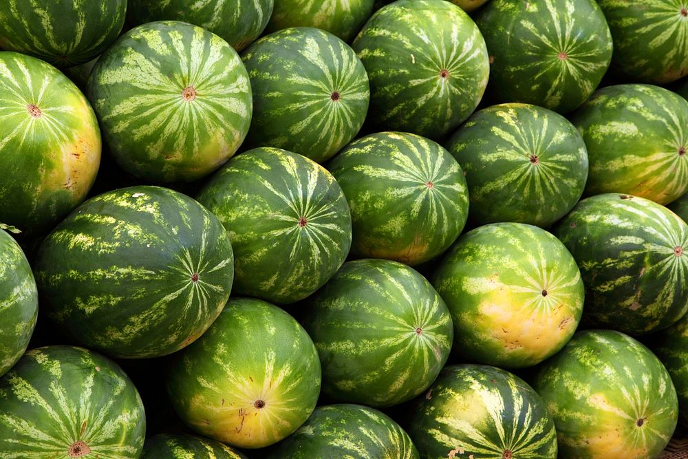 Free green watermelon background image, public domain fruit CC0 photo.