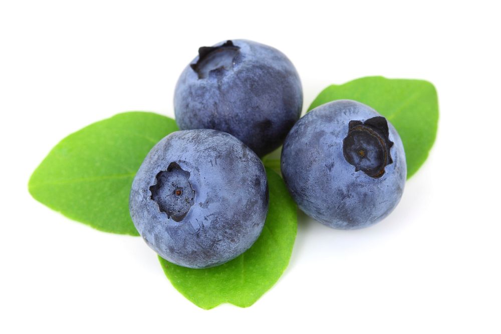Free blueberries public domain fruit CC0 photo.