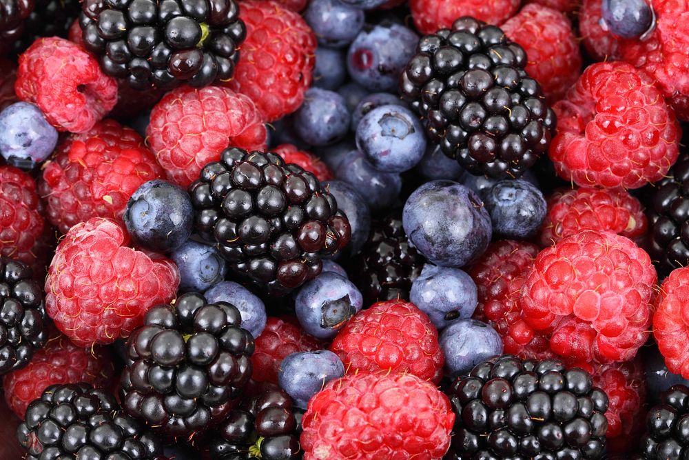Free assorted berries image, public domain fruit CC0 photo.