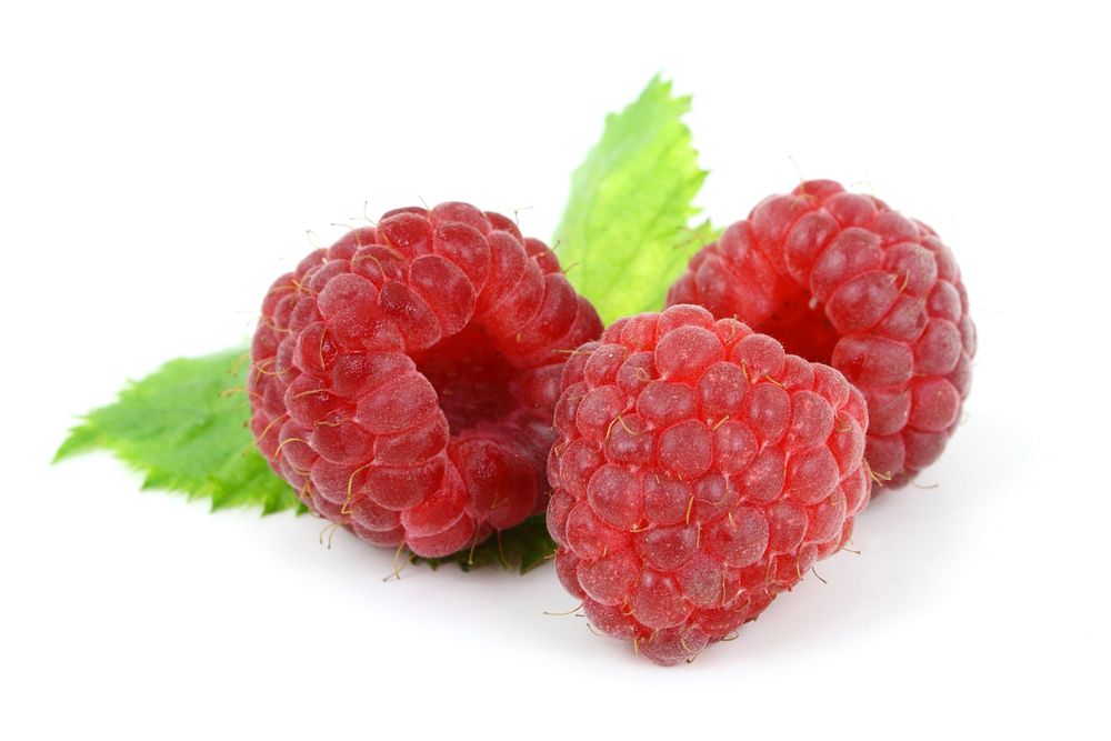 Free raspberries photo, public domain fruit CC0 photo.