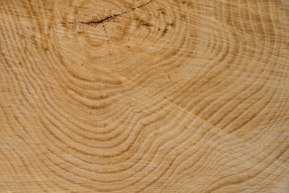 Free wood texture image, public domain natural material CC0 photo.