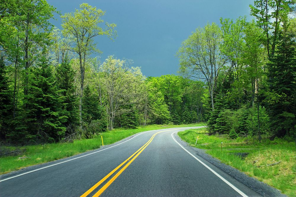 Free road between trees image, public domain nature CC0 photo.