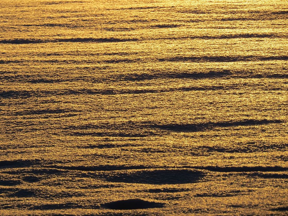 Free ocean surface at dawn image, public domain CC0 photo.