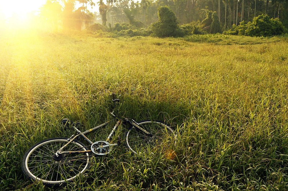 Free cycle on a field of grass image, public domain nature CC0 photo.