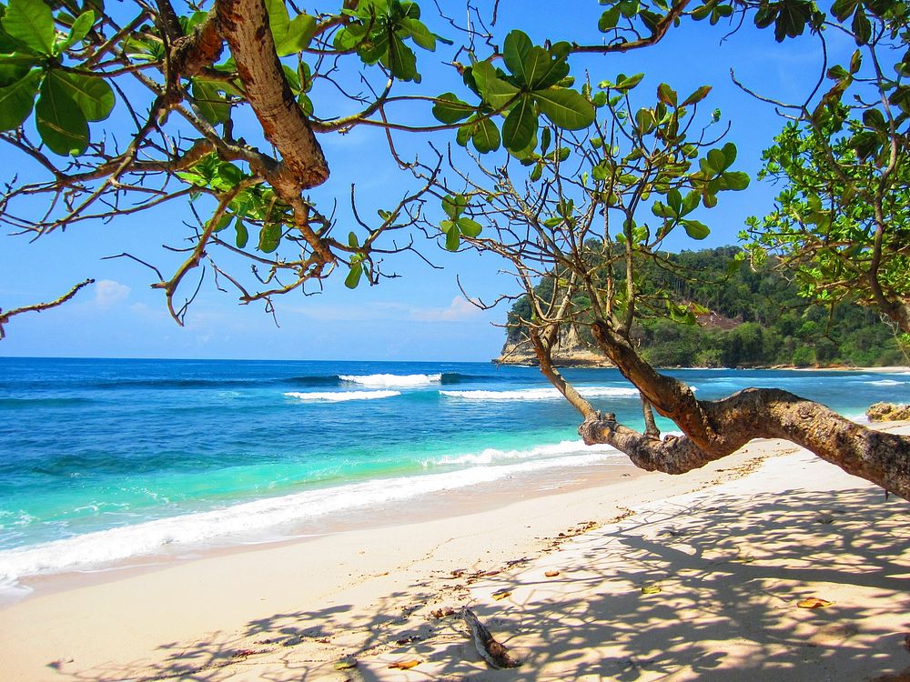 Tropical sunny beach, sandy shoreline, free public domain CC0 photo.