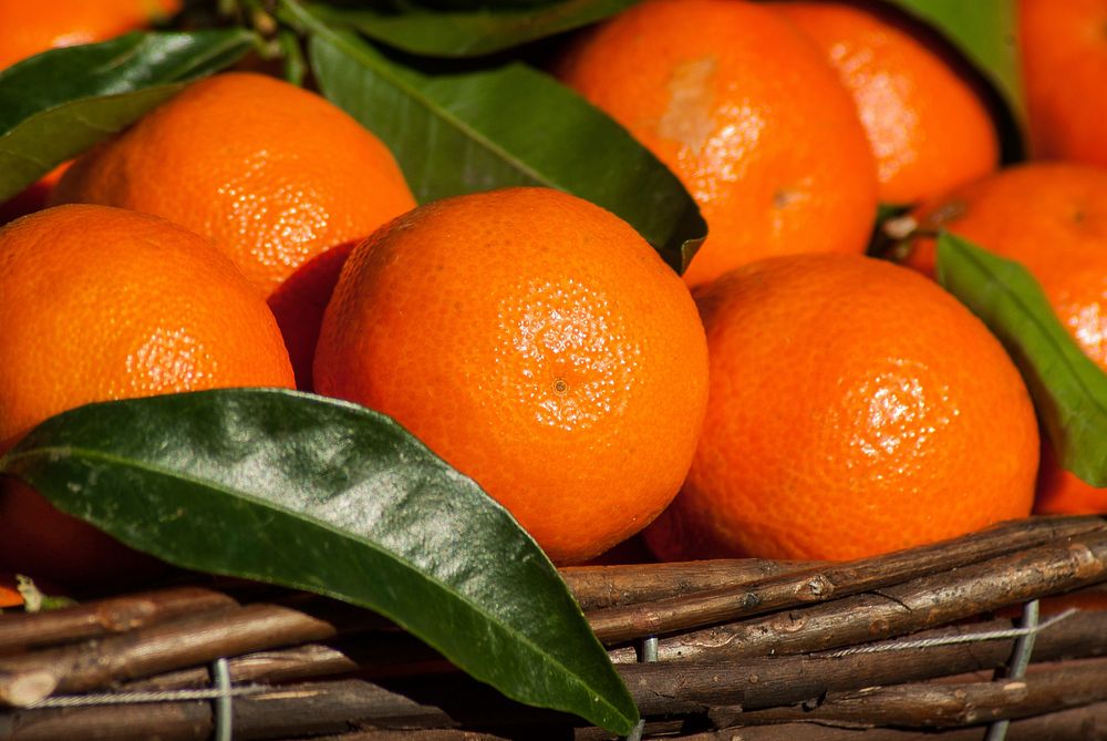 Free orange image, public domain fruit CC0 photo.