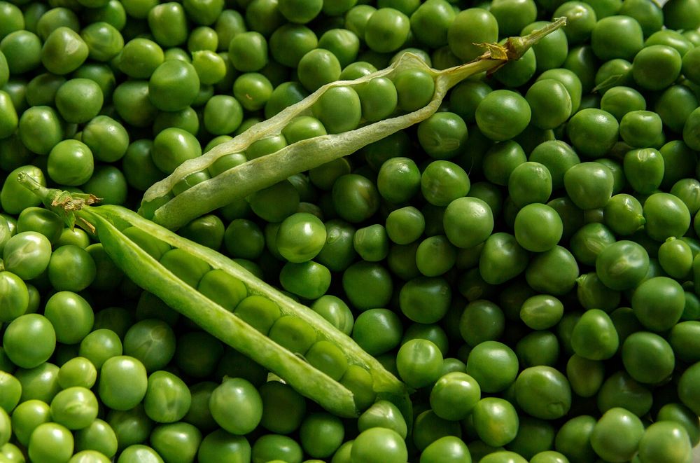 Free image of pile of green peas, public domain CC0 photo.