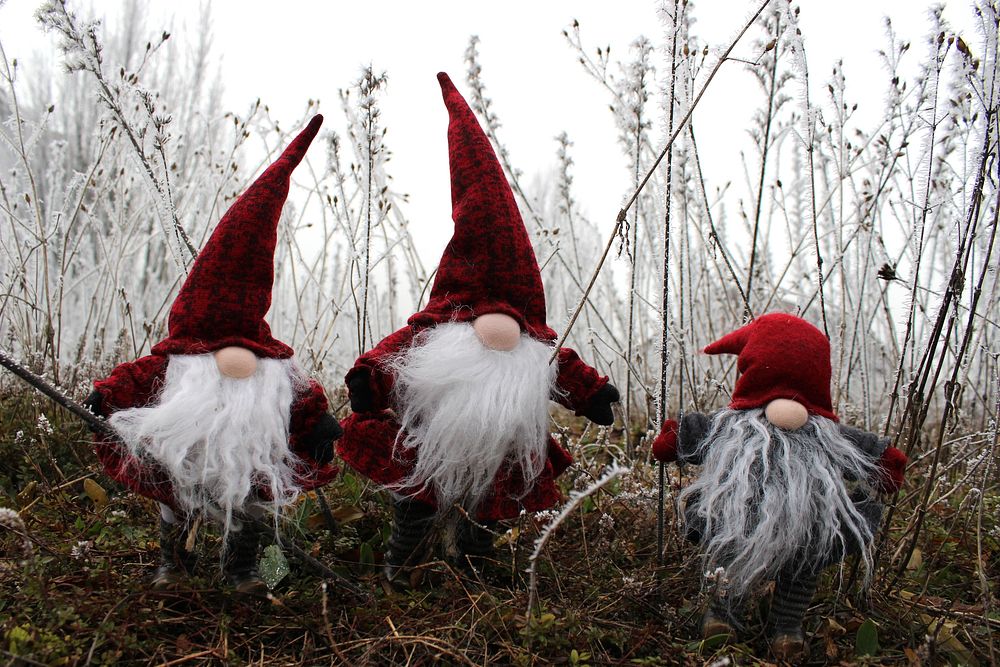 Free Christmas gnomes image, public domain celebration CC0 photo.