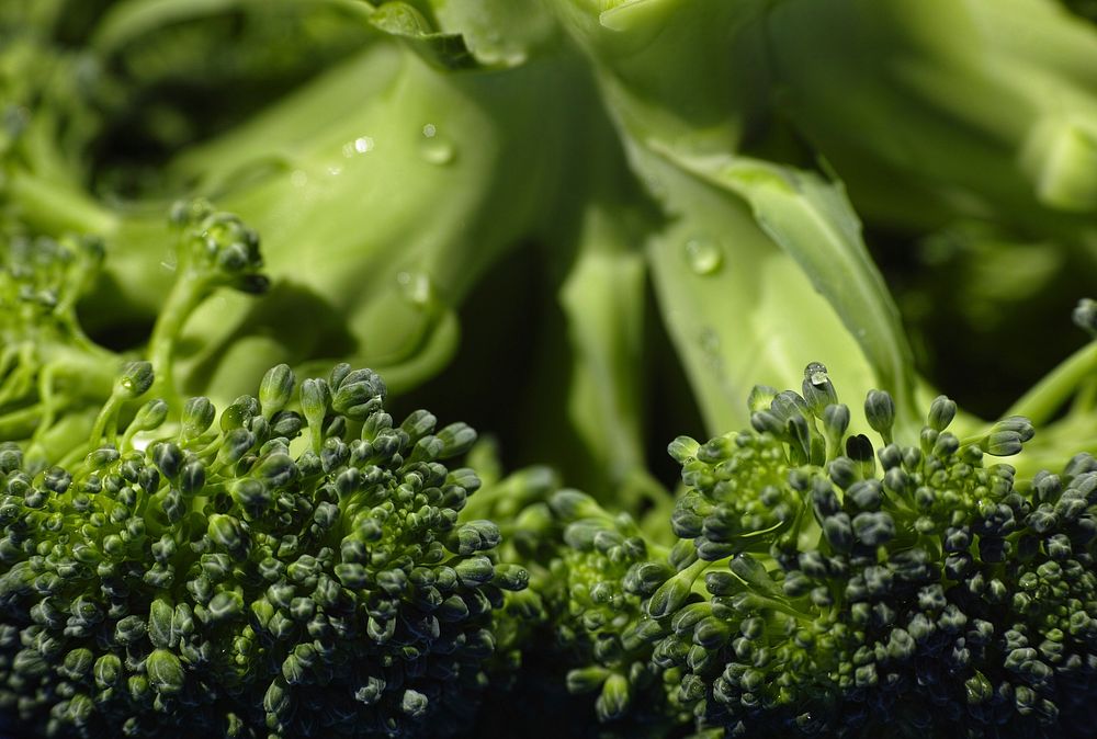 Free fresh broccoli close up image, public domain vegetables CC0 photo.