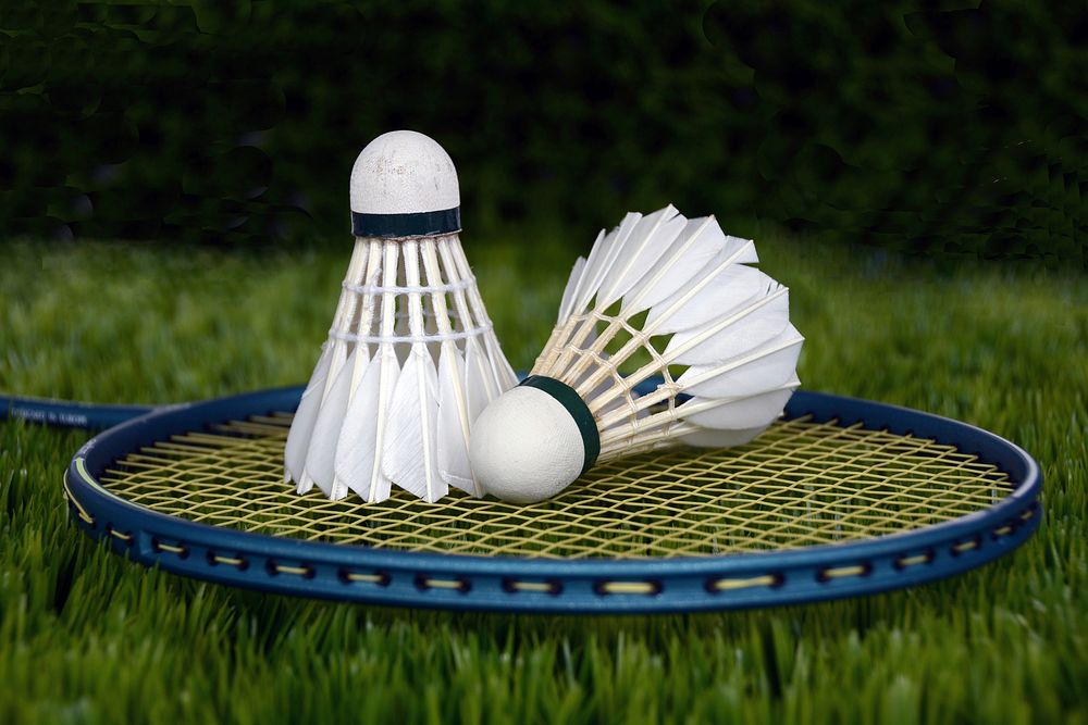 Free badminton racket with shuttlecock on grass image, public domain sport CC0 photo.