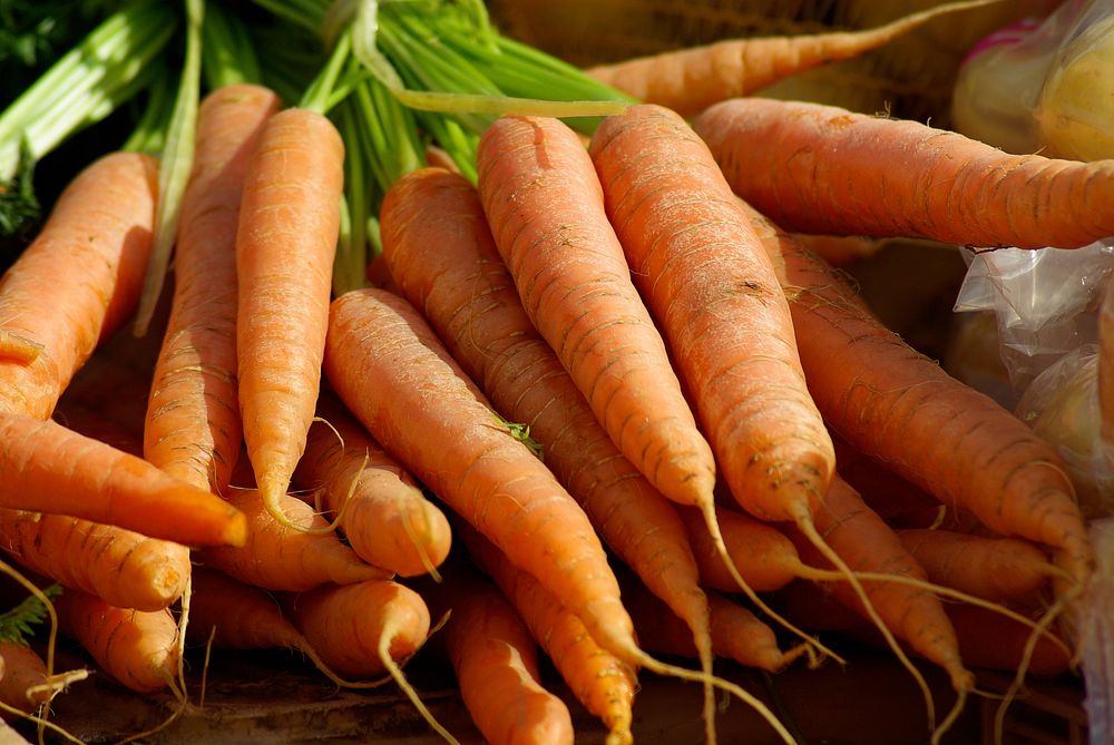 Free bunch of carrots image, public domain vegetables CC0 photo.public domain CC0 photo.