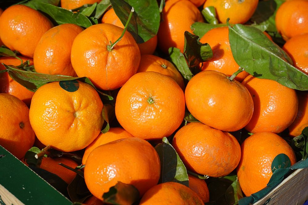 Free pile of clementines image, public domain fruit CC0 photo