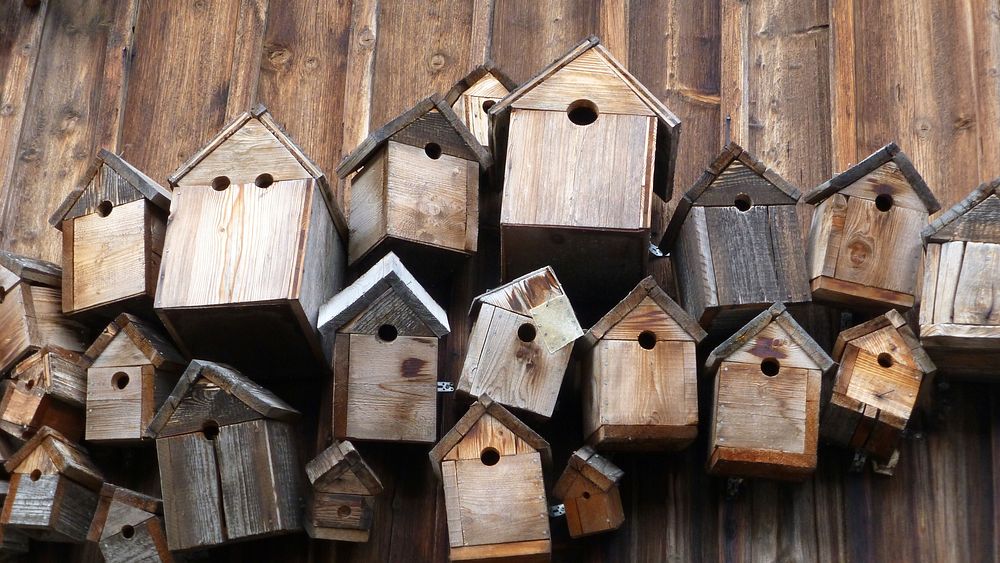 Bird nest boxes, free public | Free Photo - rawpixel