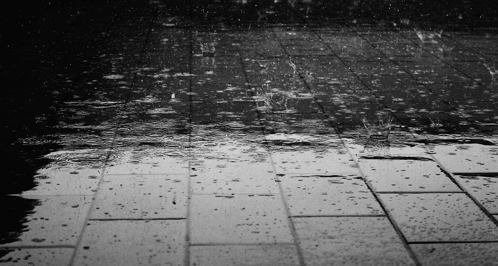 Free rainy pavement background,  public domain CC0 photo.