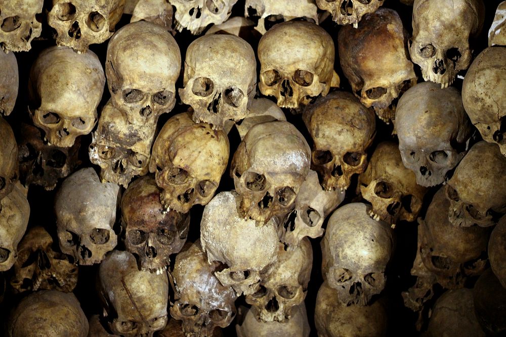 Pile of skull stacks image, public domain CC0 photo.